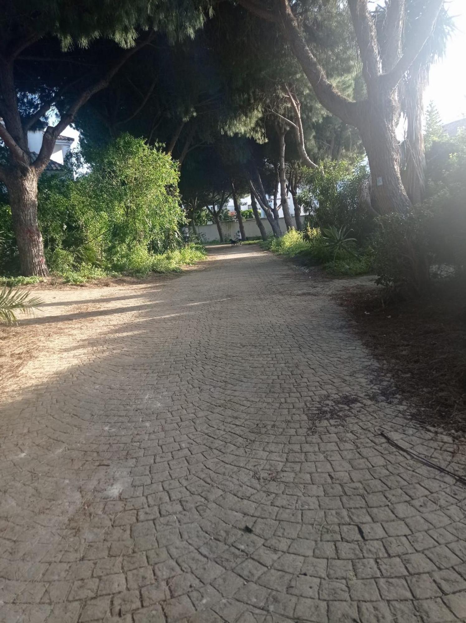 Apartamento Crucero 2, La Jara Sanlúcar de Barrameda Εξωτερικό φωτογραφία